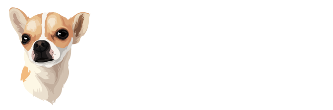 chichi